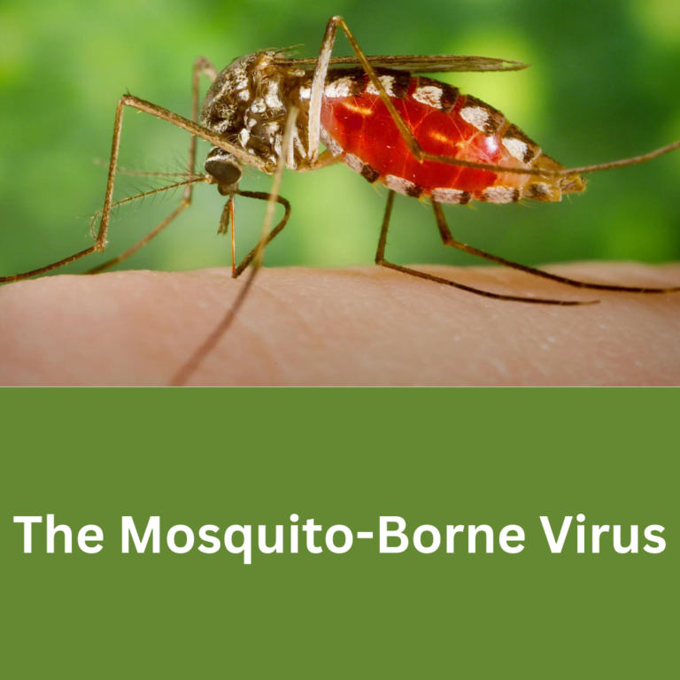 The mosquito-borne virus